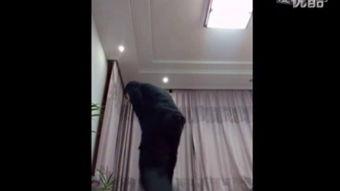 淫秽片在线观看免费,免费观看背后的黑暗真相