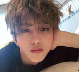 蔡徐坤爆料狗仔视频合集,一场关于隐私与尊重的较量